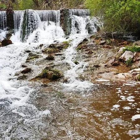 La Abuela Nines * Ligos